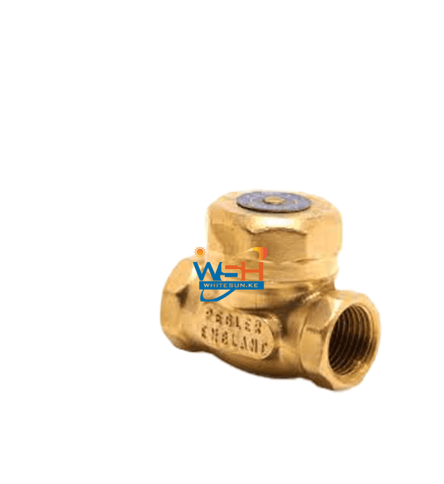 pegler-brass-swing-check-valve-1-1062
