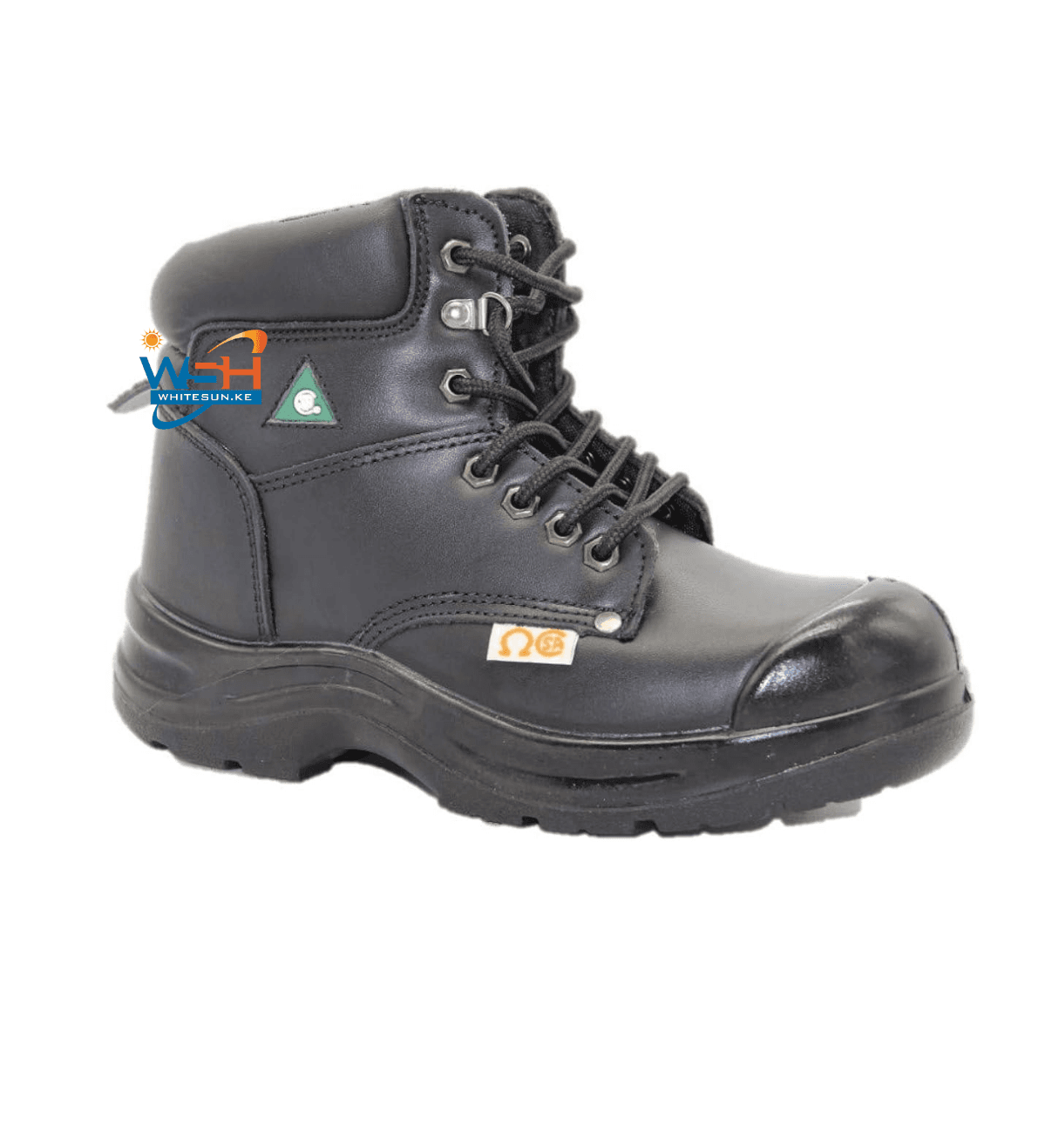 Dolphin D4 CSA Approved Safety Shoes