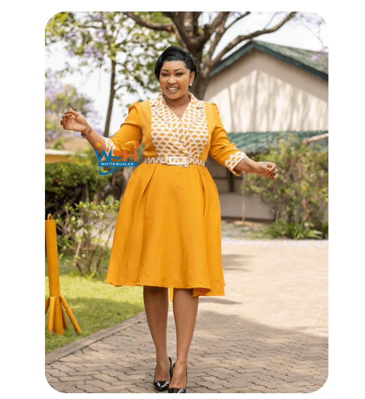 Elegant and Versatile Dress for Ladies 2