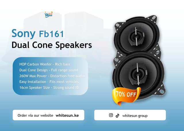 sony-fb161-dual-cone-speakers