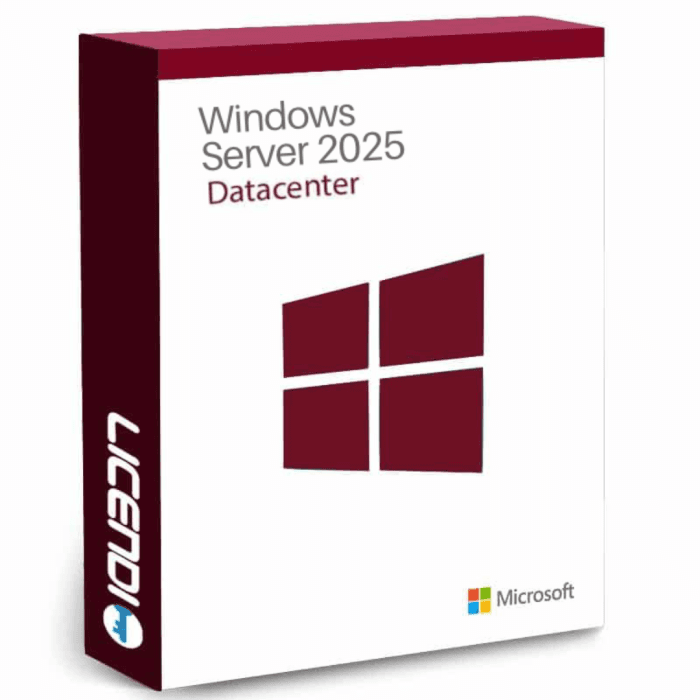 Windows Server 2025 Datacenter 16
