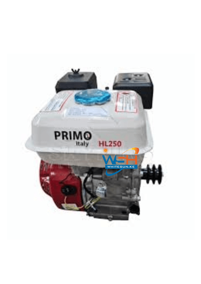 9hp-primo-italy-diesel-engine-hl186f-blue-key-shaft